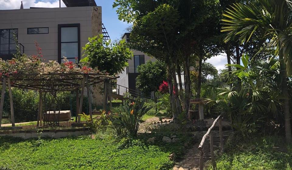 Imagen Generalidades